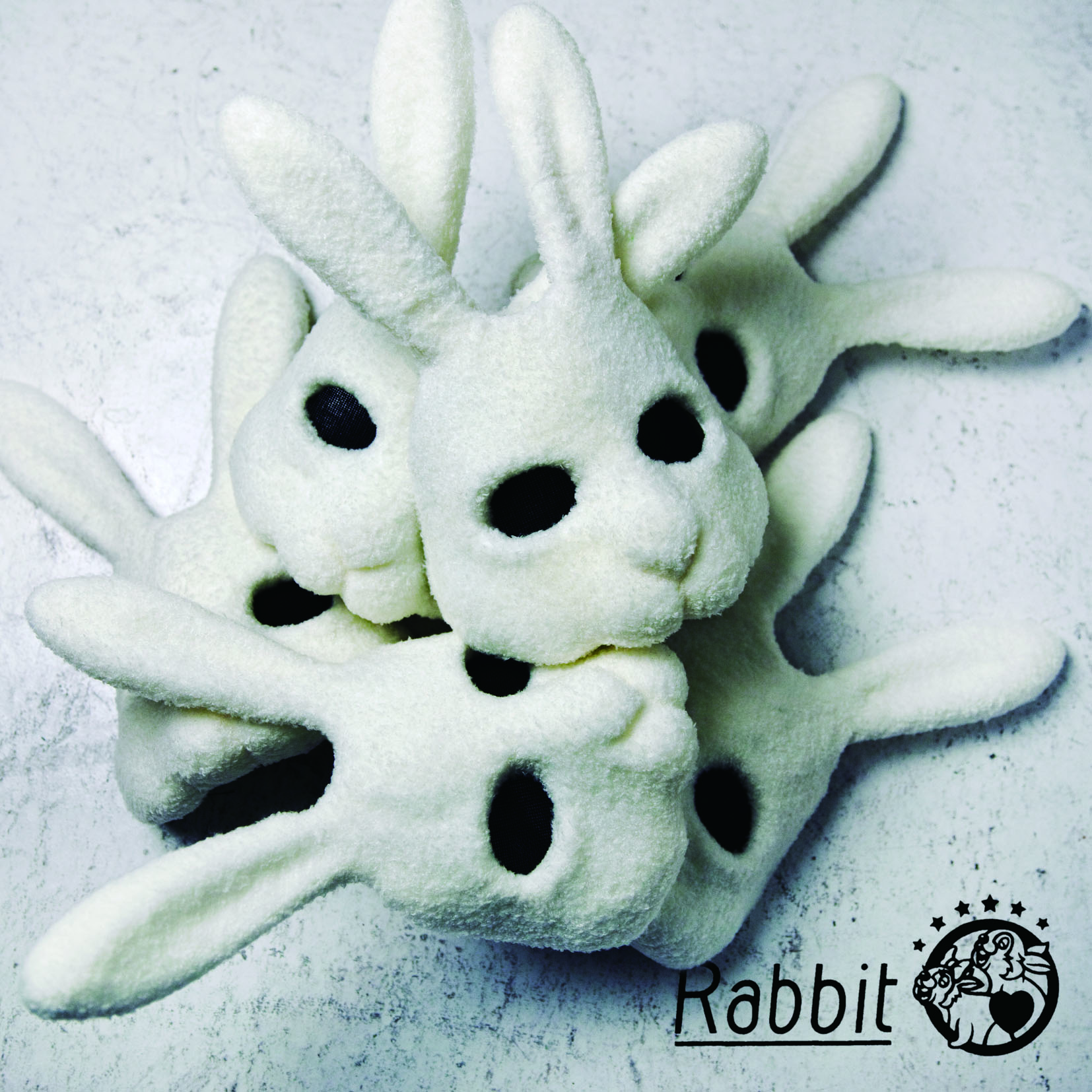 Rabbit (Ai Otsuka’s band) unveiled MV for ‘Rabbit’