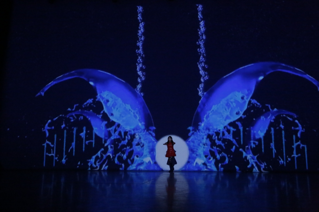 Become One with Mega Screen! Live Footage of 9nine’s Concert in Tokyo Disney Resort Out!