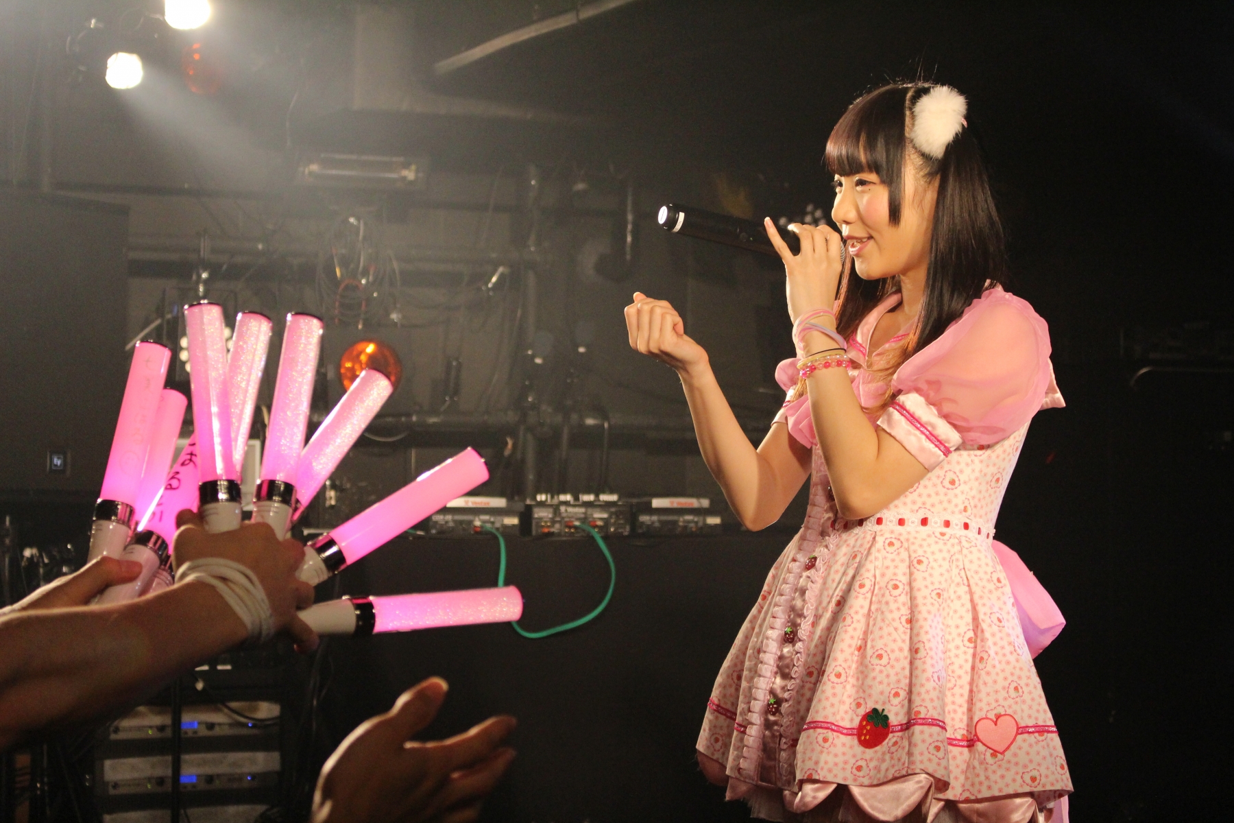 Hamu Fes vol.2: Idols Assemble in Support of Ichigo Rinahamu! Twin Tail Justice Go!