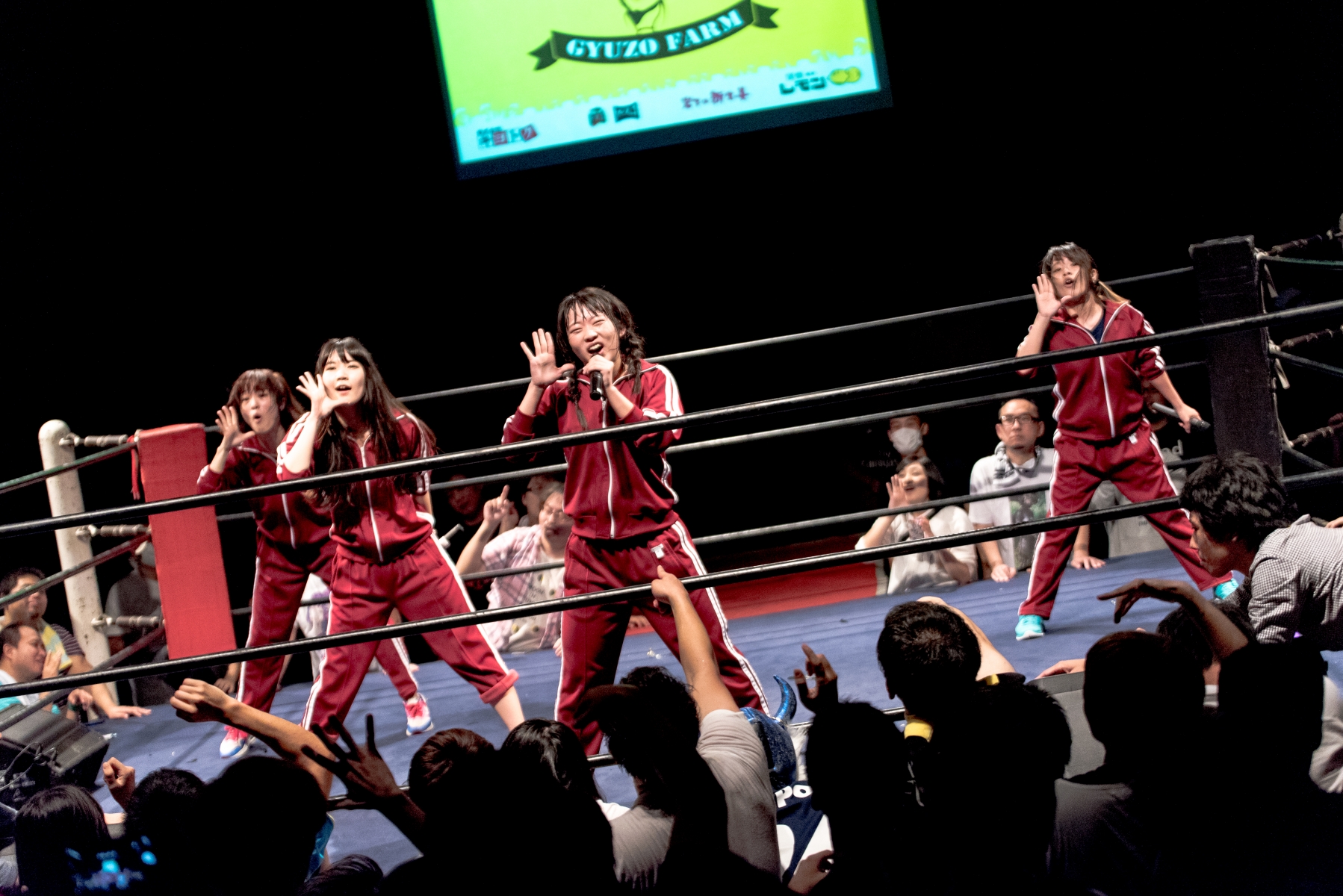 Happiness According to Idol Fans Part 1: Getting a Response is a Matter of Life and Death