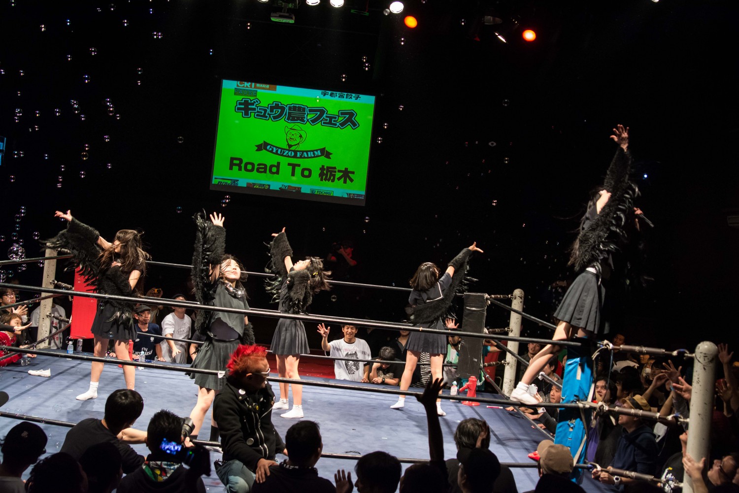 Idol Battle Royale! Gyu-No Fes Returns to Shin-Kiba 1st Ring!
