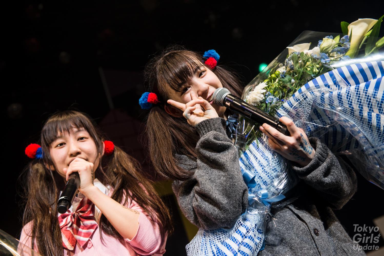 A Banquet of Merrymaking and Song at Akasaka BLITZ! Nama Ham and Yaki Udon Live Report