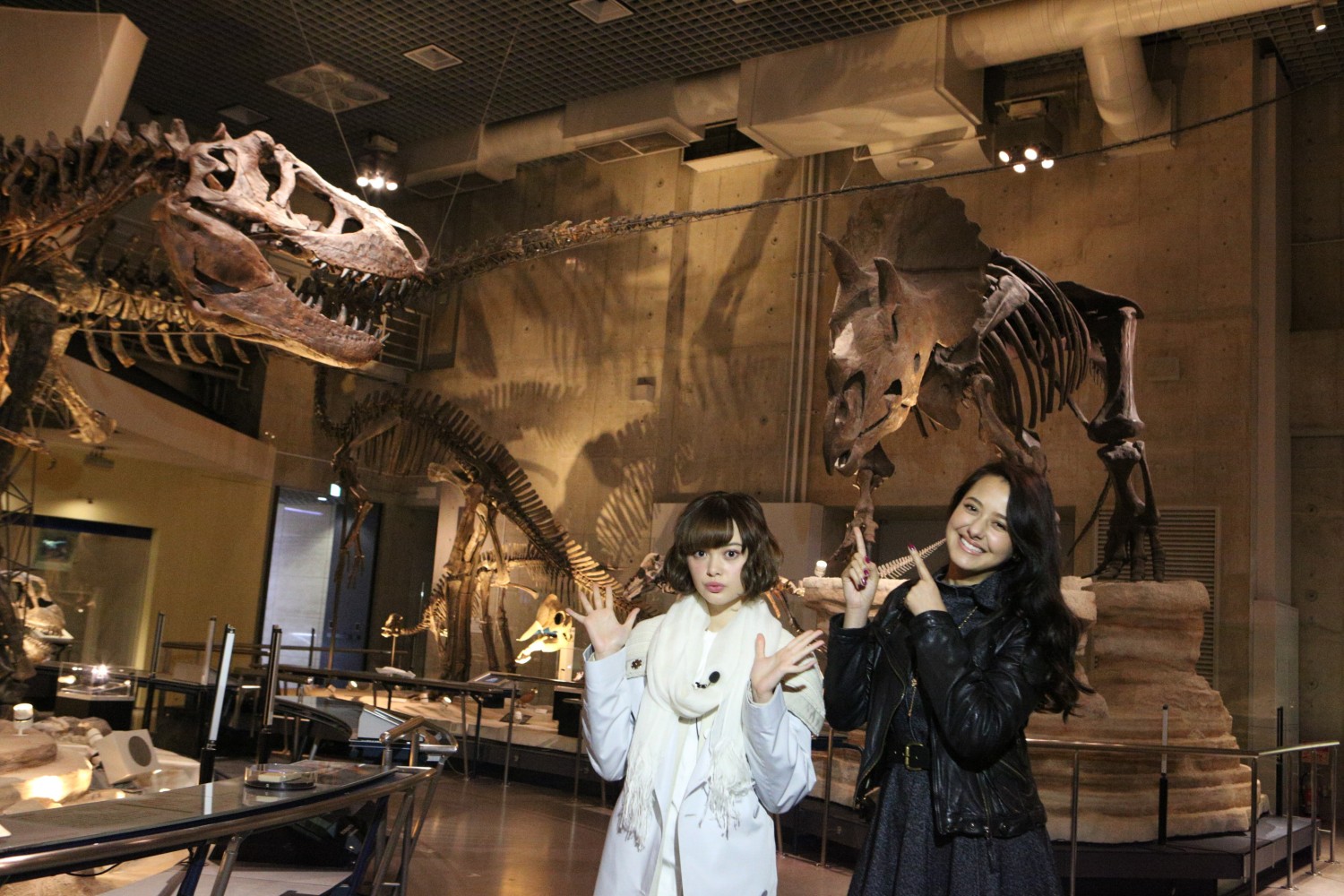 Explore the Wonders of Japan’s National Museum of Nature and Science in Ueno!