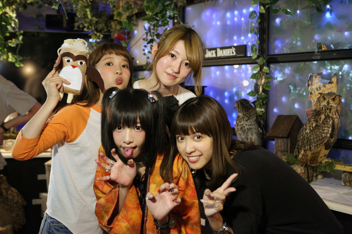 Perch on the Hidden Animal Cafe “Owl no Mori” in Akihabara!