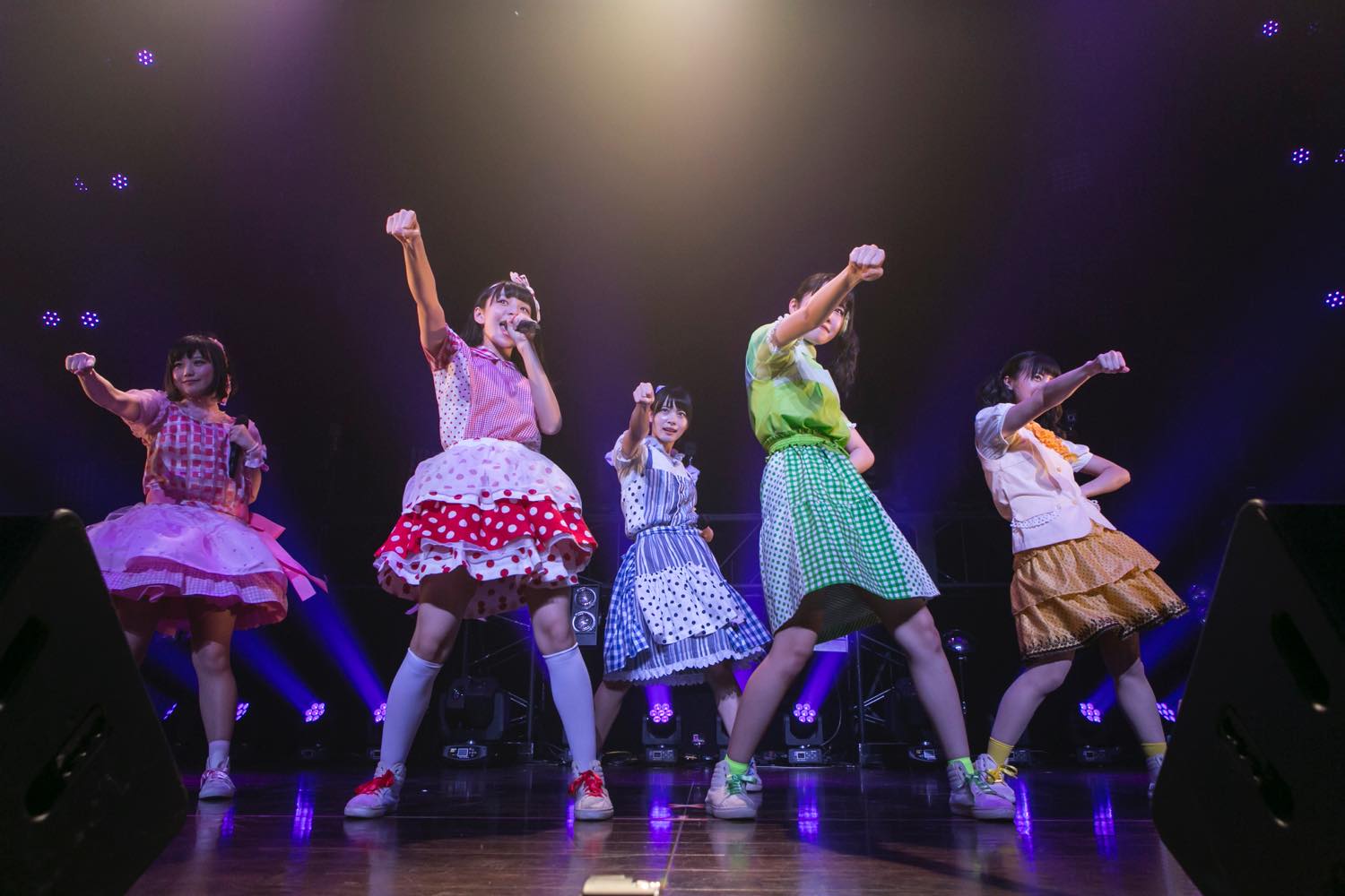 Kamiyado Light Up Shinagawa Stellar Ball For Spring Tour Finale!