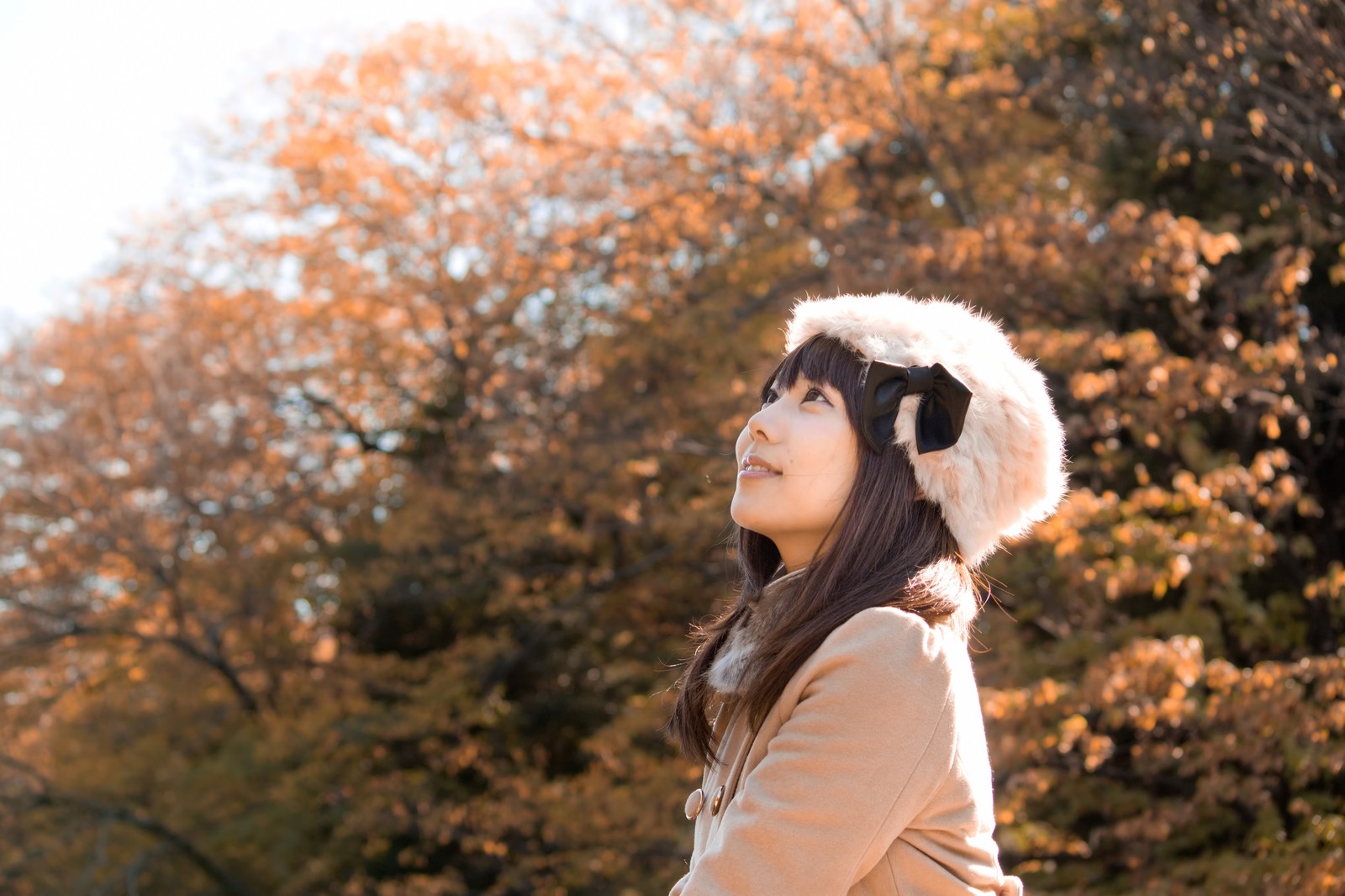 7 Great Autumn Leaves Spot around Tokyo!