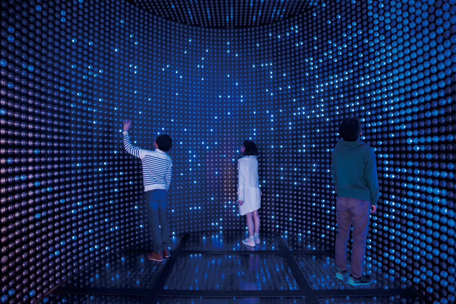 Museums Known to Those in the Know: Weird & Unforgettable Experiences Await!